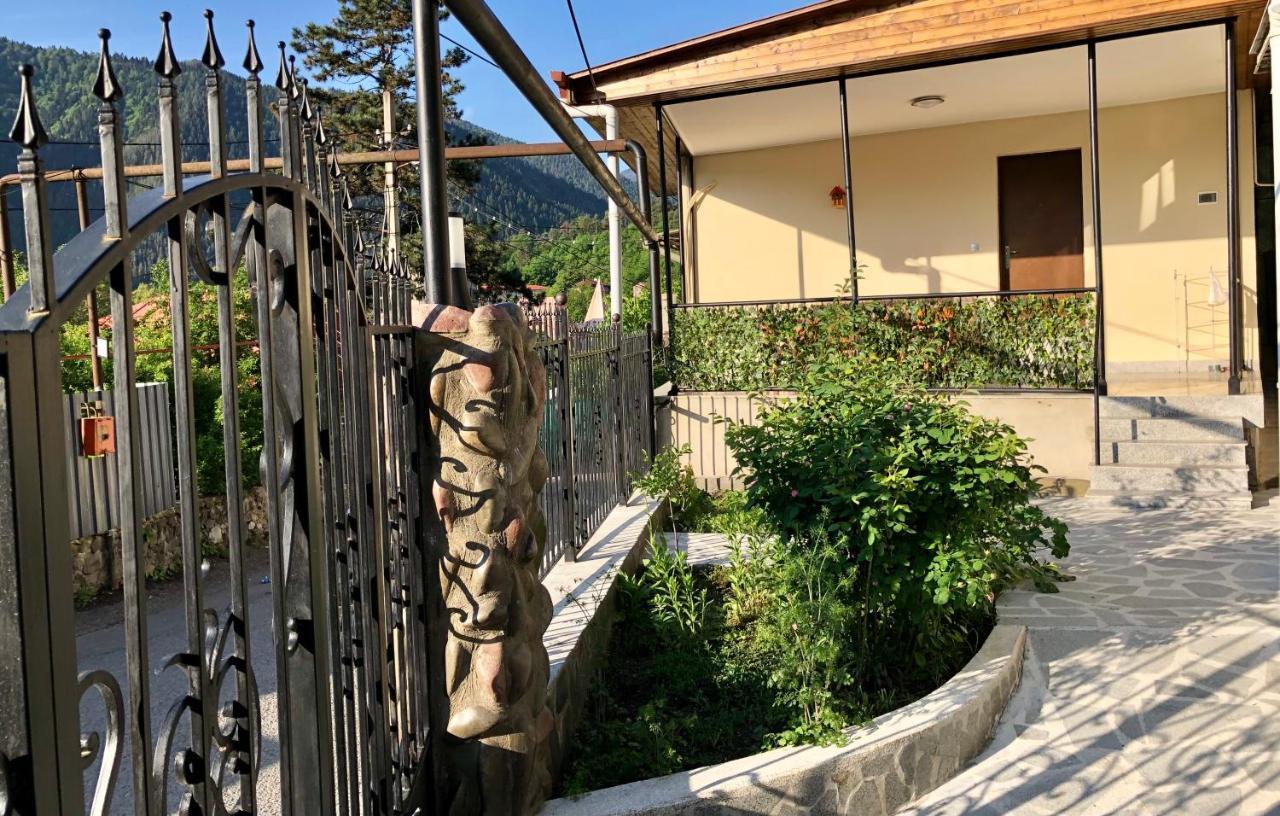 Luxury Apartment At Pirosmani 22 In Central Borjomi Εξωτερικό φωτογραφία