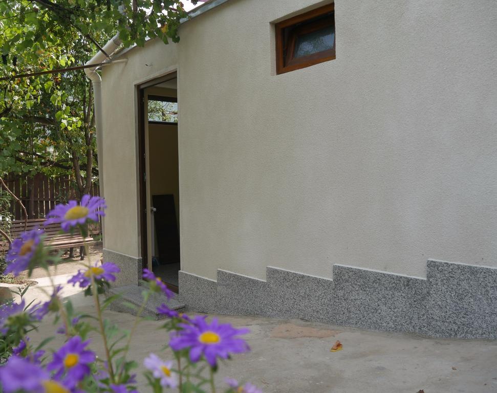 Luxury Apartment At Pirosmani 22 In Central Borjomi Εξωτερικό φωτογραφία