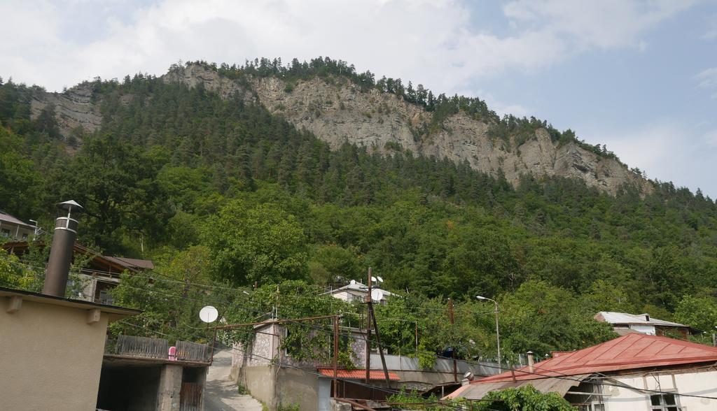 Luxury Apartment At Pirosmani 22 In Central Borjomi Εξωτερικό φωτογραφία